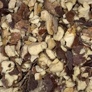 Aesculus hippocastanum horse chestnut pieces dry herb close-up