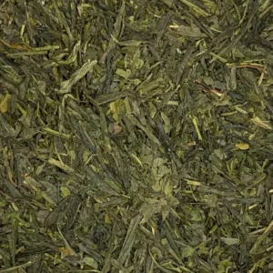 Camellia sinensis (Sencha fuji) green tea dry herb close-up