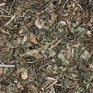 Hamamelis virginiana leaf dry herb close-up