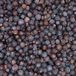Juniperus communis berries dry herb close-up