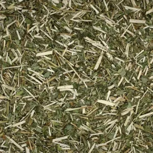 Lycopus virginicus dry herb close-up
