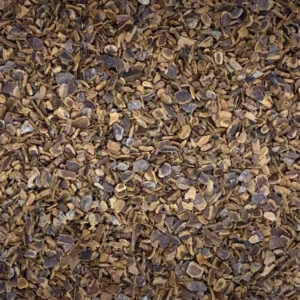 Rhamnus purshiana cascara bark dry herb close-up
