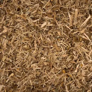 Salix alba | white willow Dry Herb