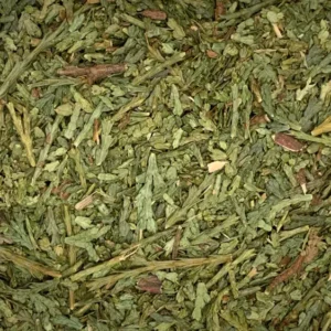 Thuja occidentalis | cedar Dry Herb