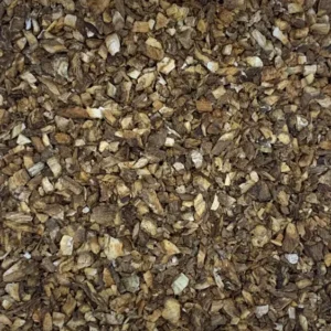 arctium lappa burdock root dry herb close-up