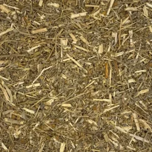 artemesia absenthium wormwood dry herb close-up