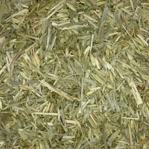 avena sativa oatstraw dry herb close-up