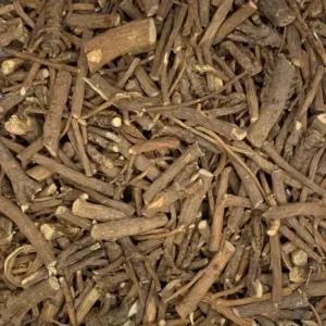 bupleurum sinensis traditional chinese medicine chai hu root dry herb close-up