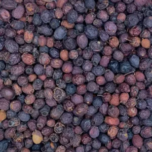 crataegus hawthorn berries dry herb close-up