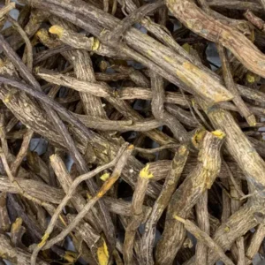 cryptolepis sanguinolenta root dry herb close-up