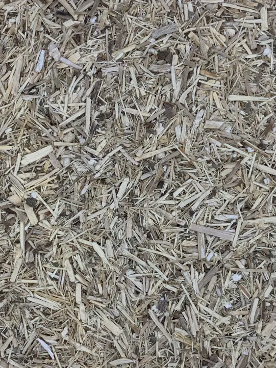 thumbnail image 2 of Eleuthero Root Cut & Sifted – Eleutherococcus Senticosus – Siberian Ginseng – Natural 2 of 3