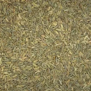 foeniculum vulgare fennel seeds dry herb close-up