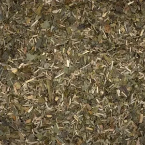 ginkgo biloba dry herb close-up