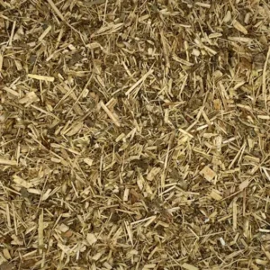 grindelia robusta dry herb close-up