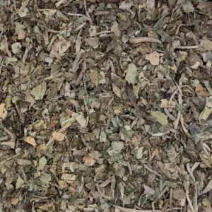 lobelia inflata dry herb close-up