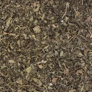 mentha piperita dry herb close-up