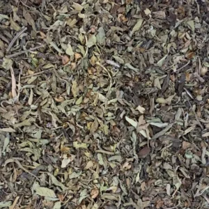 ocimum sanctum vana holy basil tulsi dry herb close-up