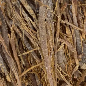 panax ginseng korean root dry herb close-up