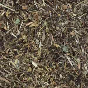 plantago plantain leaf dry herb close-up