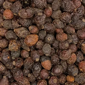 rosa canina rosehips whole fruit dry herb close-up