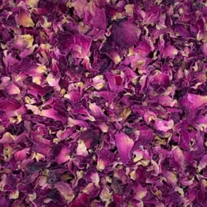 rosa centifolia rose petals dry herb close-up