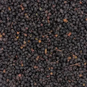 Sambucus nigra | elderberry Dry Herb