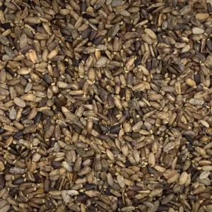 Silybum marianum | milk thistle seed Dry Herb