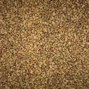 Trigonella foenum graecum | fenugreek Dry Herb
