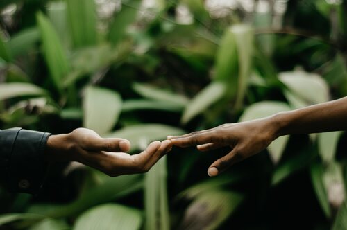 two hands reaching out gently touching against green foliage background allyship