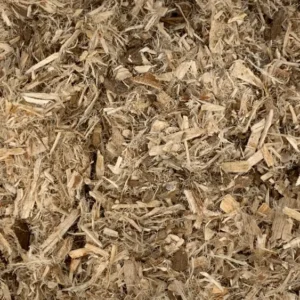 Ulmus fulva/rubra | slippery elm Dry Herb