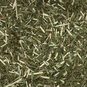 verbena hastata | blue vervain Dry Herb